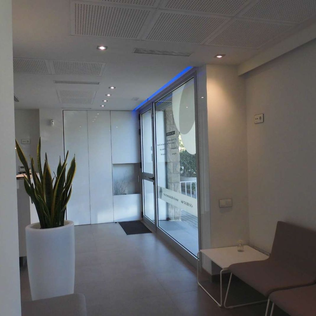 local planta moderna